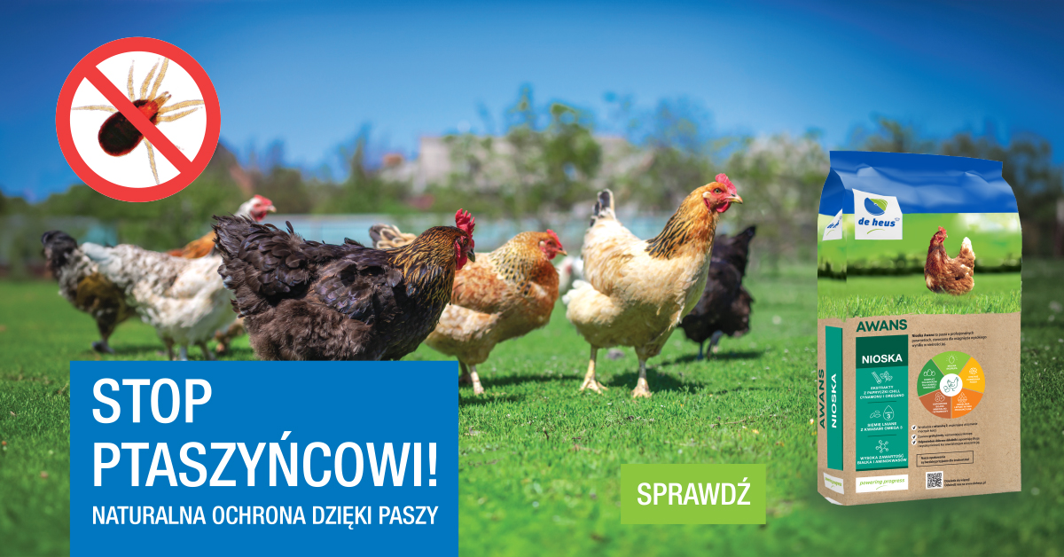 ptaszyniec
